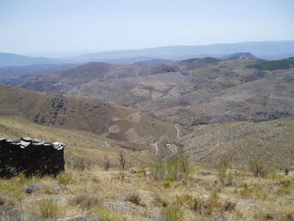 Terreno en via sin nombre s/n