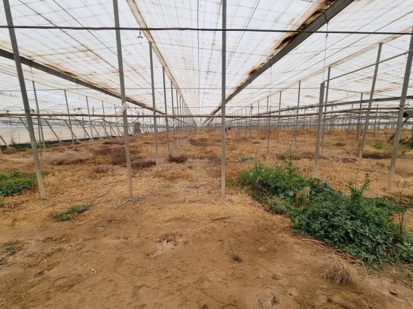 Terreno en rambla Rabia