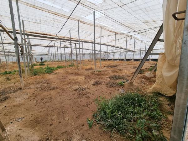 Terreno en rambla Rabia