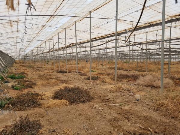 Terreno en rambla Rabia