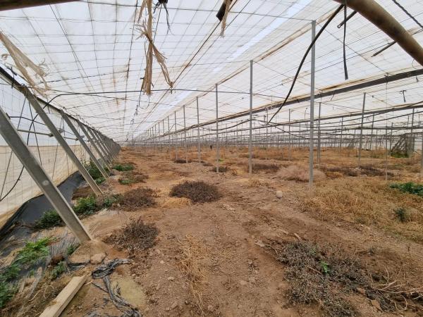 Terreno en rambla Rabia