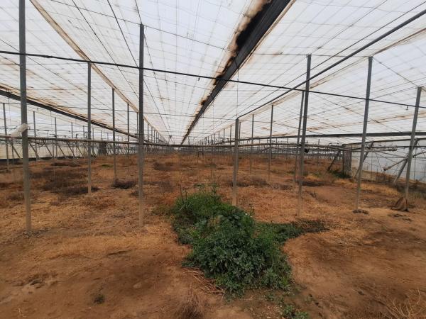 Terreno en rambla Rabia