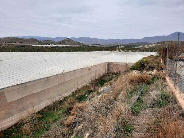 Terreno en rambla Rabia