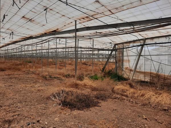 Terreno en rambla Rabia