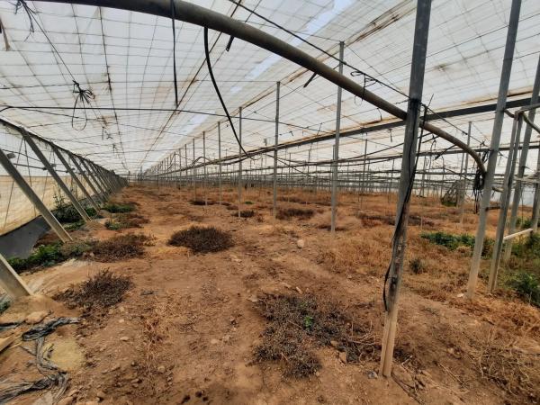 Terreno en rambla Rabia