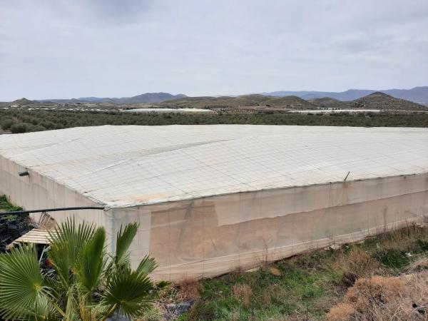 Terreno en rambla Rabia