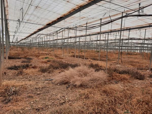 Terreno en rambla Rabia