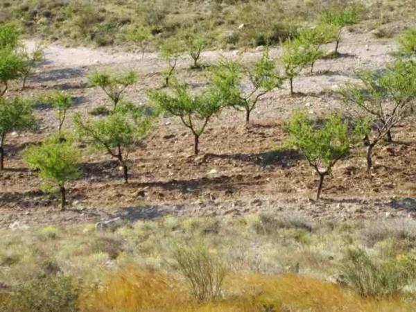 Terreno en via sin nombre s/n