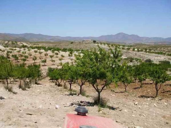 Terreno en via sin nombre s/n