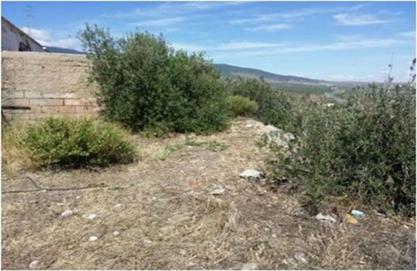 Terreno en calle Terrera