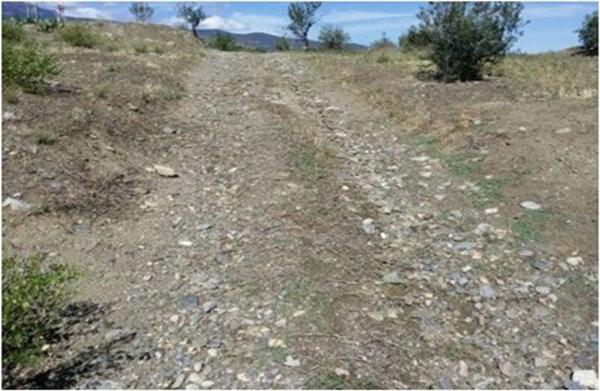 Terreno en calle Terrera