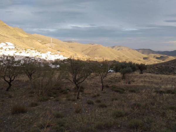Terreno en calle Granero, km 1