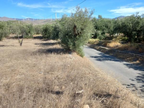 Terreno en Extrarradio Diseminados Dm, 2