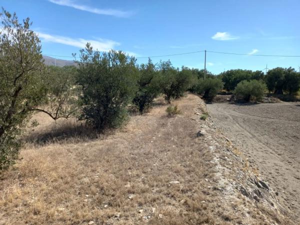 Terreno en Extrarradio Diseminados Dm, 2