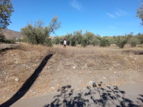 Terreno en Extrarradio Diseminados Dm, 2