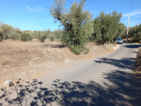 Terreno en Extrarradio Diseminados Dm, 2