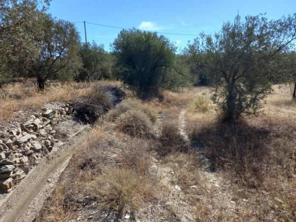 Terreno en Extrarradio Diseminados Dm, 2