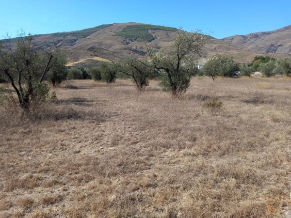 Terreno en Extrarradio Diseminados Dm, 2