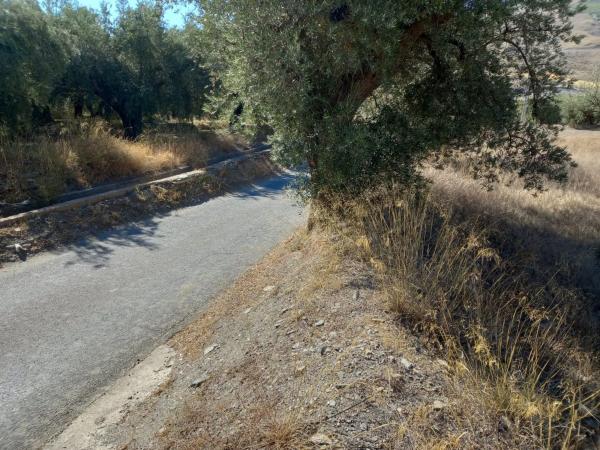 Terreno en Extrarradio Diseminados Dm, 2