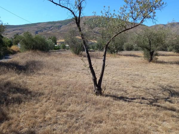 Terreno en Extrarradio Diseminados Dm, 2