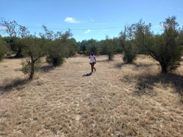 Terreno en Extrarradio Diseminados Dm, 2