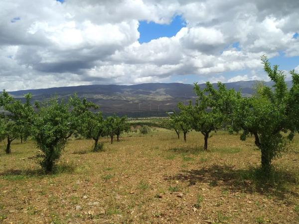Terreno en Vega de Fiñana, km 92