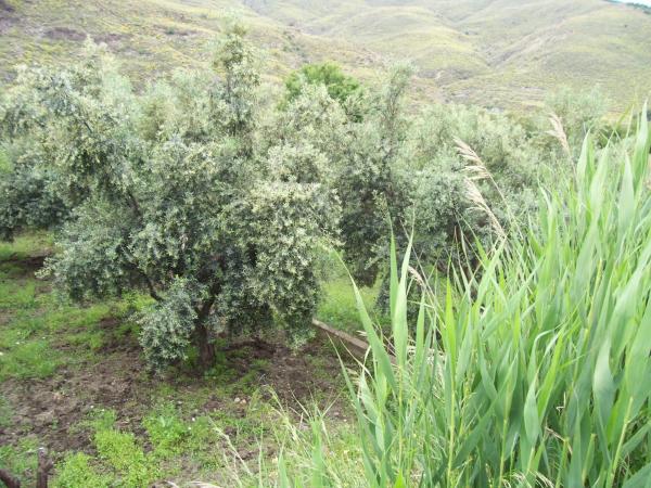 Terreno en via 1, 100