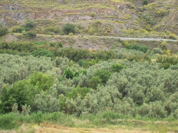 Terreno en via 1, 100