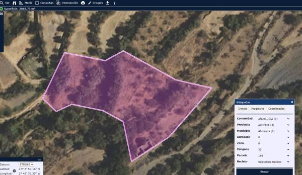 Terreno en Paraje Los Monjos, 30 PoligonoParcela