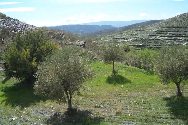 Terreno en Al-4100 s/n