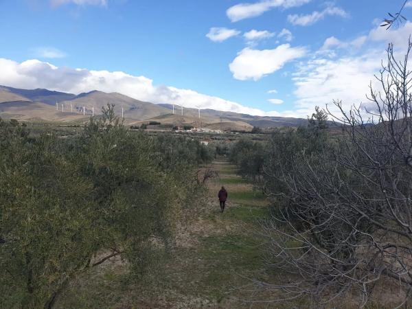 Terreno en Pago La Cruz, 10