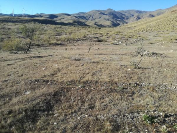 Terreno en Paraje "La Pileta " s/n sn