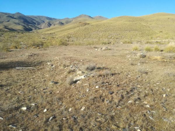 Terreno en Paraje "La Pileta " s/n sn