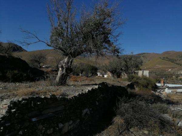 Terreno en Al-4405, 56