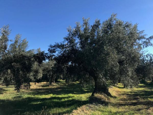 Terreno en Unnamed Road s/n