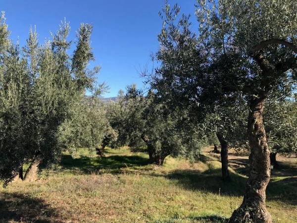 Terreno en Unnamed Road s/n