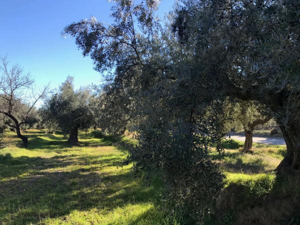 Terreno en Unnamed Road s/n