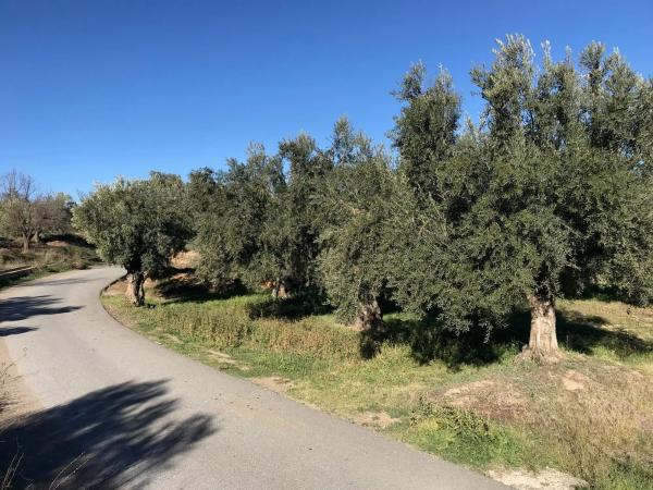 Terreno en Unnamed Road s/n