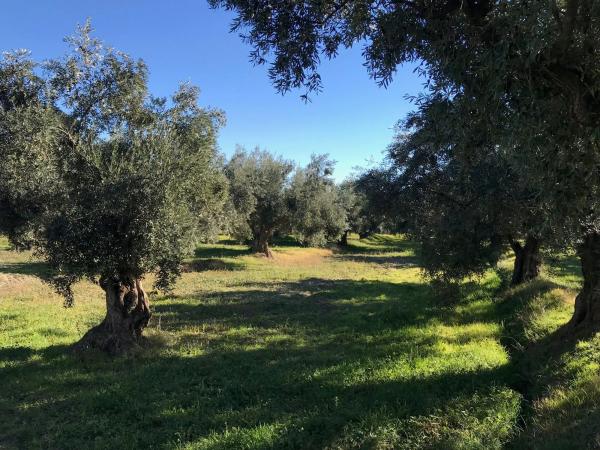 Terreno en Unnamed Road s/n