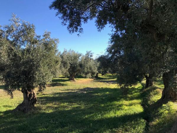 Terreno en Unnamed Road s/n