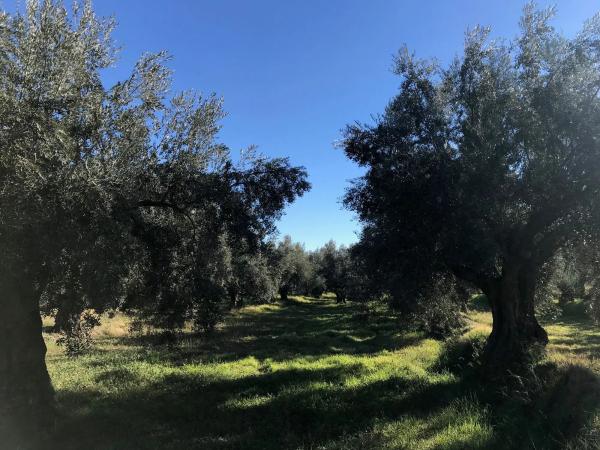 Terreno en Unnamed Road s/n