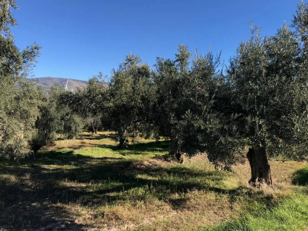 Terreno en Unnamed Road s/n