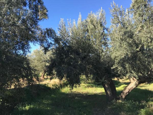 Terreno en Unnamed Road s/n