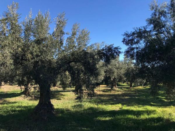 Terreno en Unnamed Road s/n