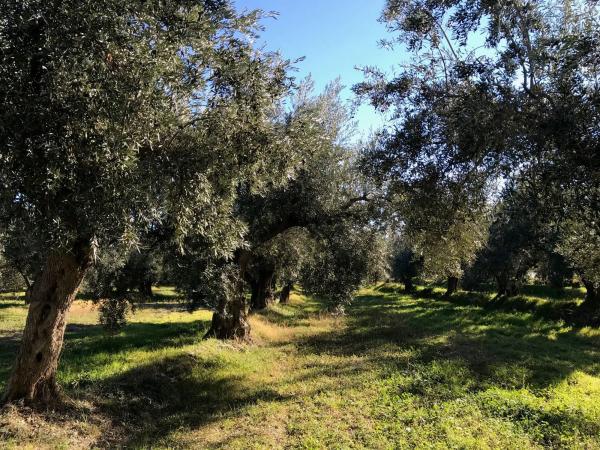 Terreno en Unnamed Road s/n