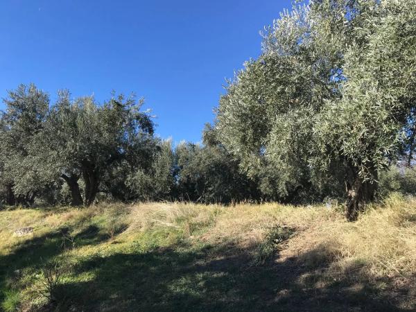 Terreno en Unnamed Road s/n