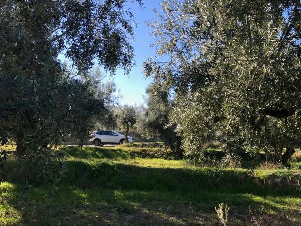 Terreno en Unnamed Road s/n