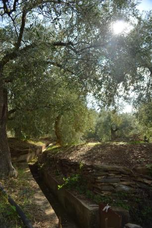Terreno en Polígono, 22 Parc. 252