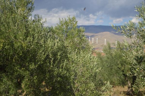 Terreno en Polígono, 22 Parc. 252