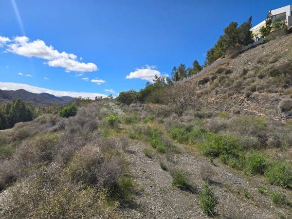 Terreno en calle Macenas